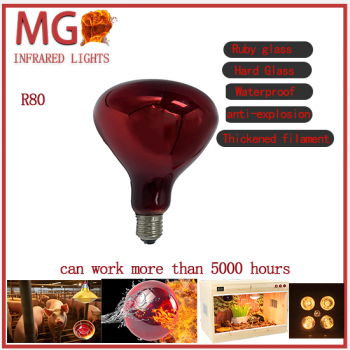 infrared heating lamp bulb ruby glass cooper cap thickened filament waterproof anti-explosion hard glass for chicks