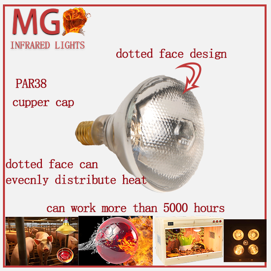 NIR lights for poultry use  par38 250watts dotted face designs evenly distrubute heat cupper cap 